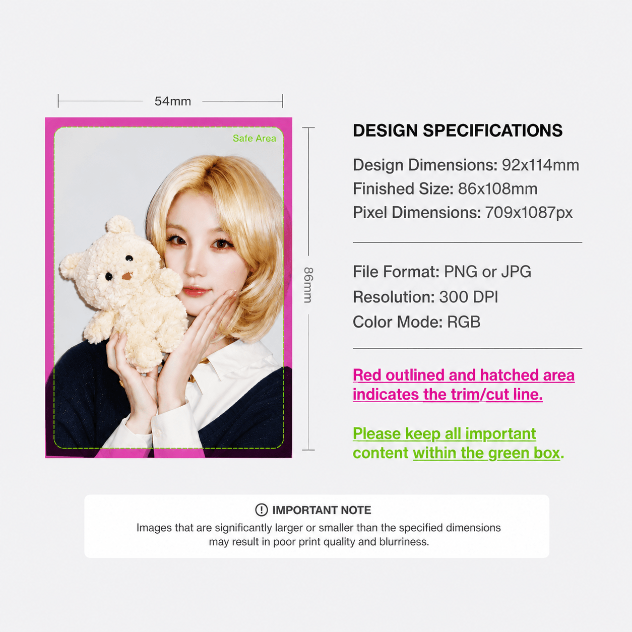 5-INCH Photocard Biaspics